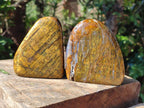 Polished Golden Neolite Tigers Eye Standing Free Forms x 4 From Prieska, South Africa