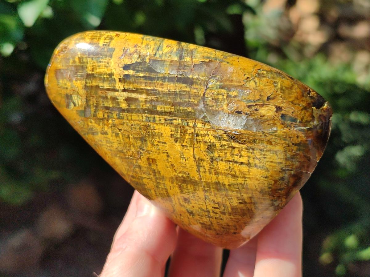 Polished Golden Neolite Tigers Eye Standing Free Forms x 4 From Prieska, South Africa