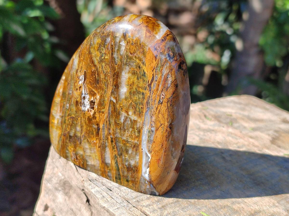 Polished Golden Neolite Tigers Eye Standing Free Forms x 4 From Prieska, South Africa