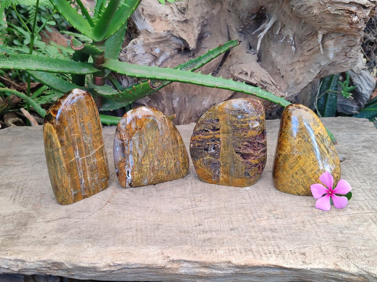Polished Golden Neolite Tigers Eye Standing Free Forms x 4 From Prieska, South Africa