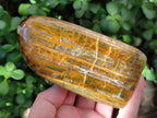Polished Golden Neolite Tigers Eye Standing Free Forms x 4 From Prieska, South Africa
