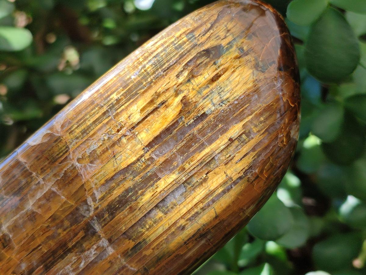 Polished Golden Neolite Tigers Eye Standing Free Forms x 4 From Prieska, South Africa