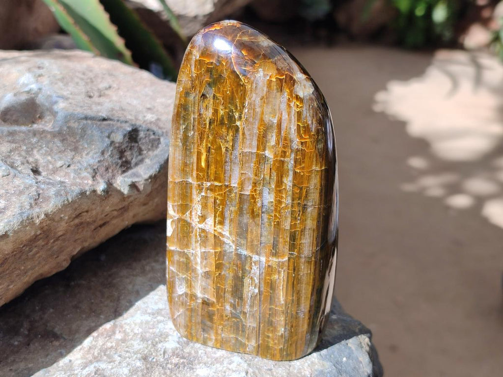 Polished Golden Neolite Tigers Eye Standing Free Forms x 4 From Prieska, South Africa