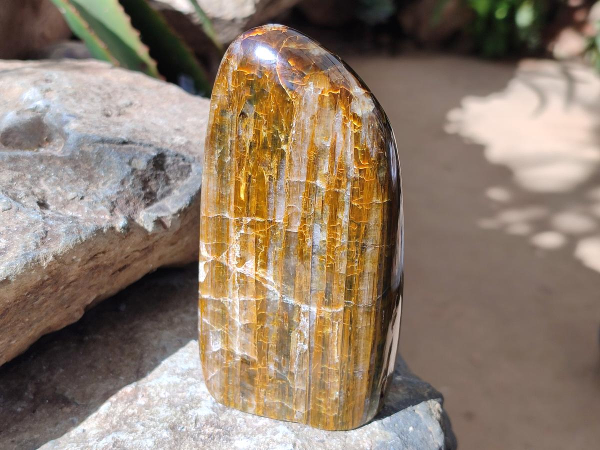 Polished Golden Neolite Tigers Eye Standing Free Forms x 4 From Prieska, South Africa