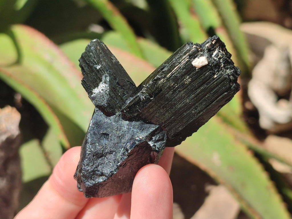 Natural Schorl Black Tourmaline Specimens x 12 From Erongo, Namibia