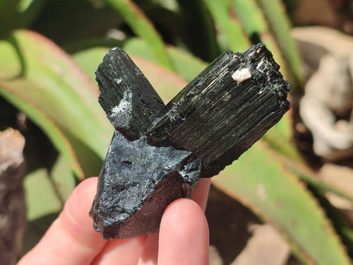 Natural Schorl Black Tourmaline Specimens x 12 From Erongo, Namibia