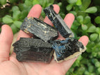Natural Schorl Black Tourmaline Specimens x 12 From Erongo, Namibia