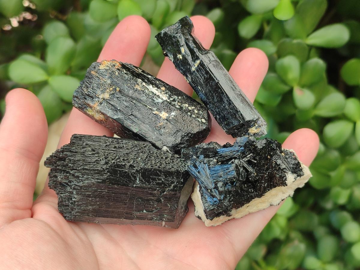 Natural Schorl Black Tourmaline Specimens x 12 From Erongo, Namibia