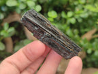 Natural Schorl Black Tourmaline Specimens x 12 From Erongo, Namibia