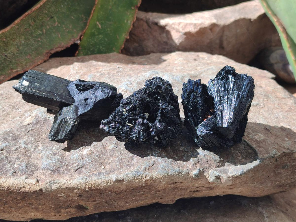 Natural Schorl Black Tourmaline Specimens x 12 From Erongo, Namibia