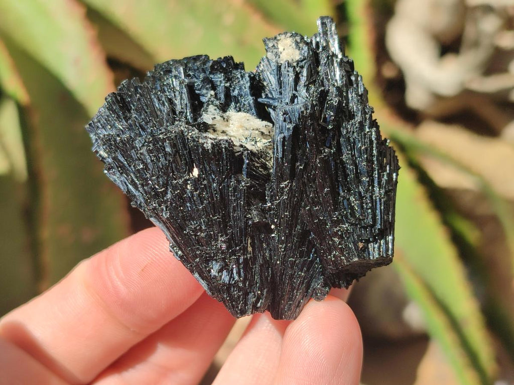 Natural Schorl Black Tourmaline Specimens x 12 From Erongo, Namibia