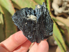 Natural Schorl Black Tourmaline Specimens x 12 From Erongo, Namibia