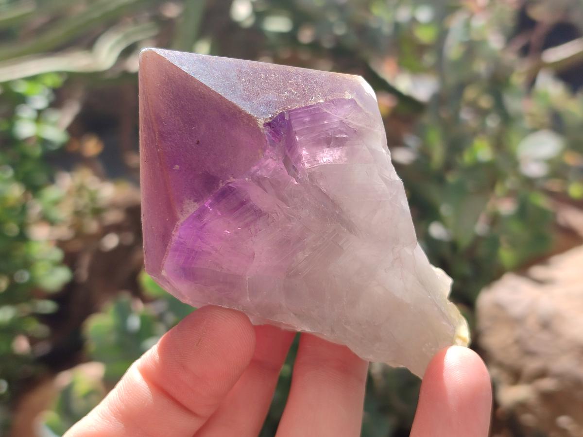 Natural Dark Purple Jacaranda Amethyst Single Crystals x 12 From Mumbwa, Zambia