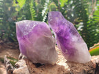 Natural Dark Purple Jacaranda Amethyst Single Crystals x 12 From Mumbwa, Zambia