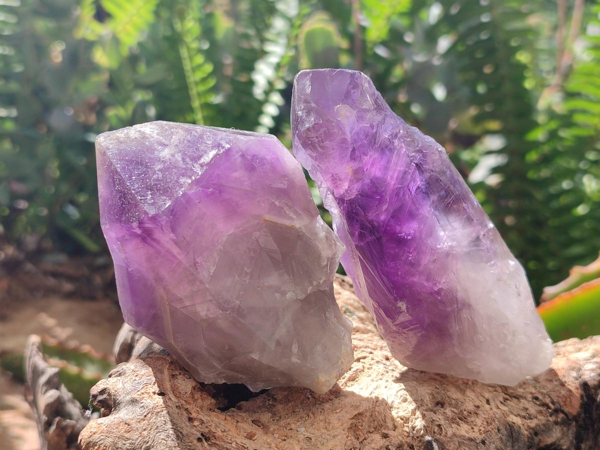 Natural Dark Purple Jacaranda Amethyst Single Crystals x 12 From Mumbwa, Zambia
