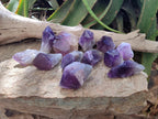 Natural Dark Purple Jacaranda Amethyst Single Crystals x 12 From Mumbwa, Zambia