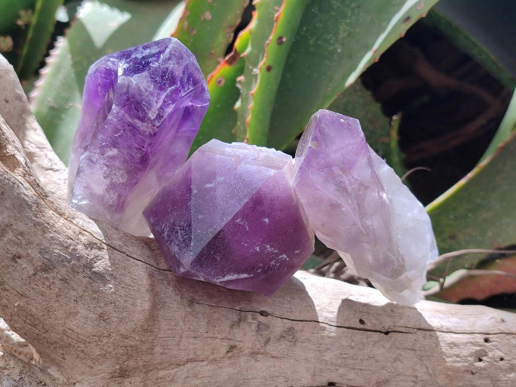 Natural Dark Purple Jacaranda Amethyst Single Crystals x 12 From Mumbwa, Zambia