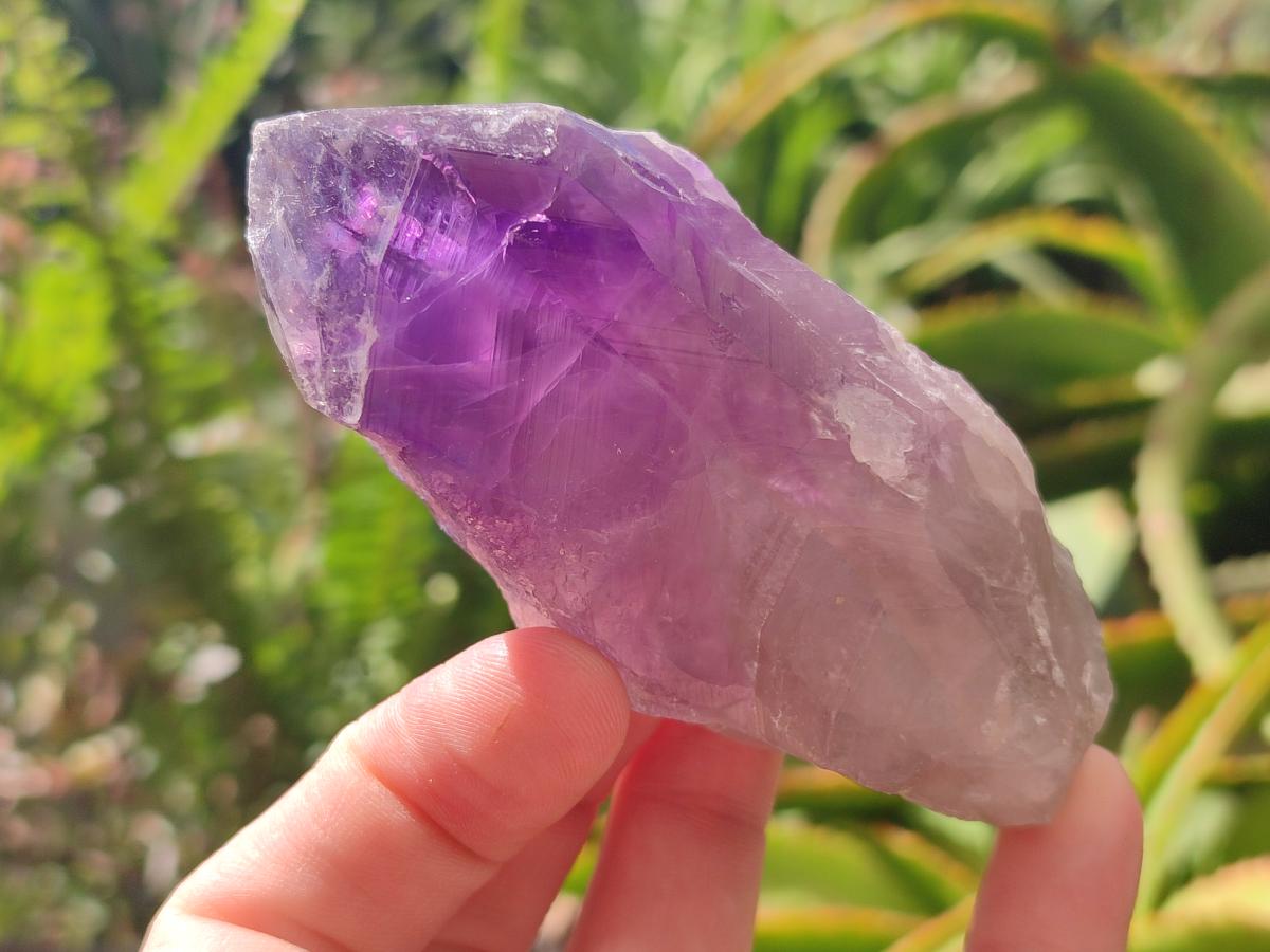 Natural Dark Purple Jacaranda Amethyst Single Crystals x 12 From Mumbwa, Zambia