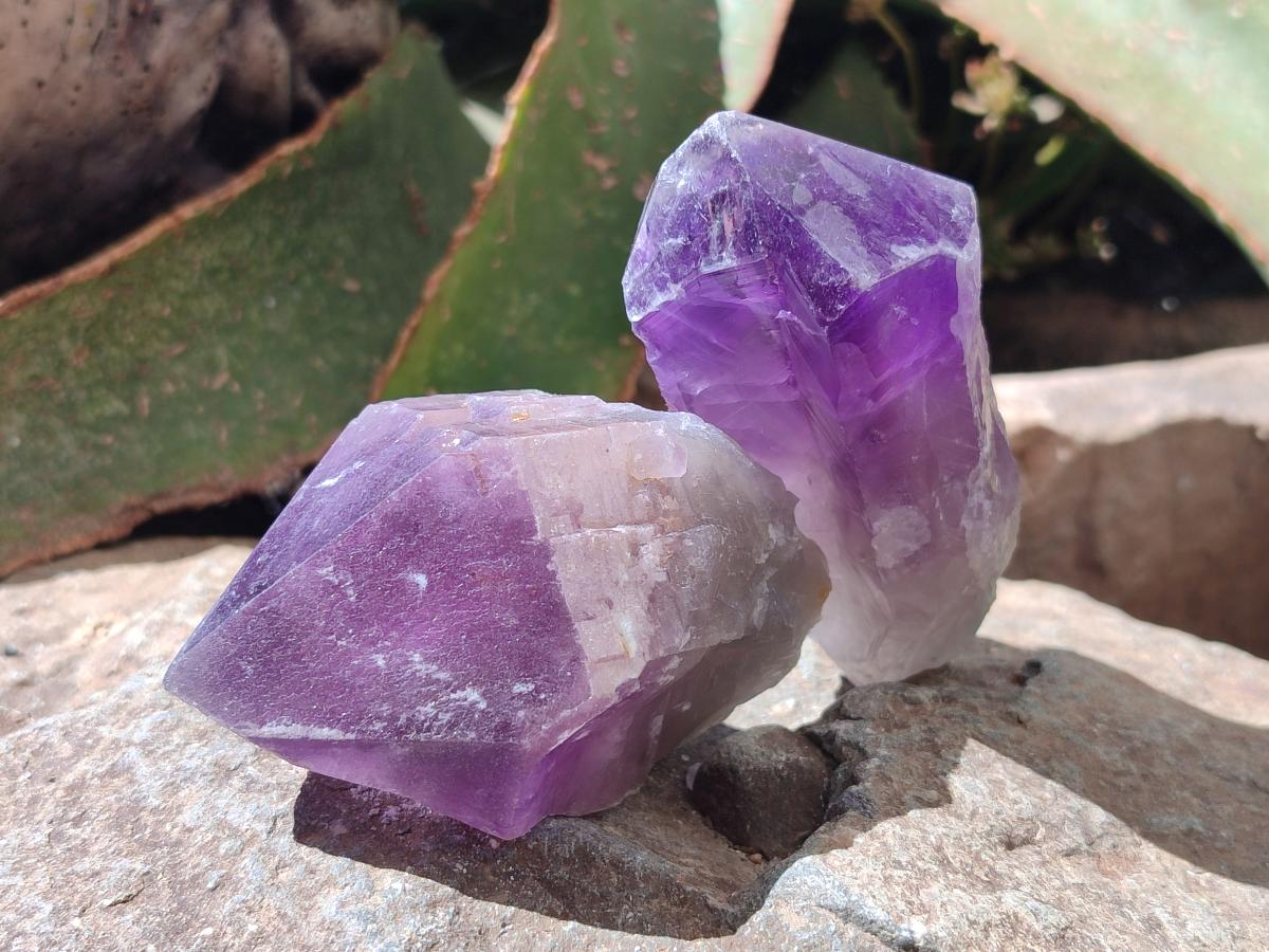 Natural Dark Purple Jacaranda Amethyst Single Crystals x 12 From Mumbwa, Zambia
