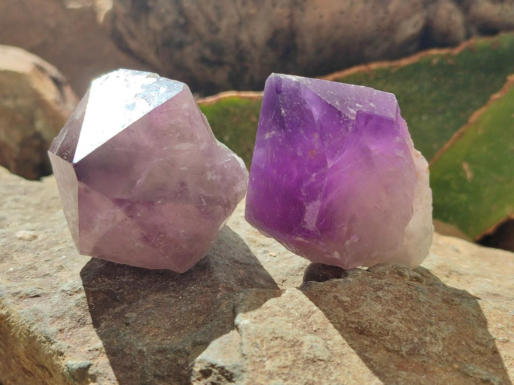 Natural Dark Purple Jacaranda Amethyst Single Crystals x 12 From Mumbwa, Zambia