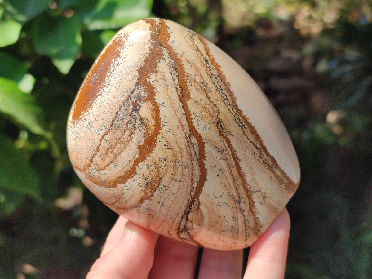 Polished Picture Stone Jasper Standing Free Forms x 4 From Ais-Ais, Namibia