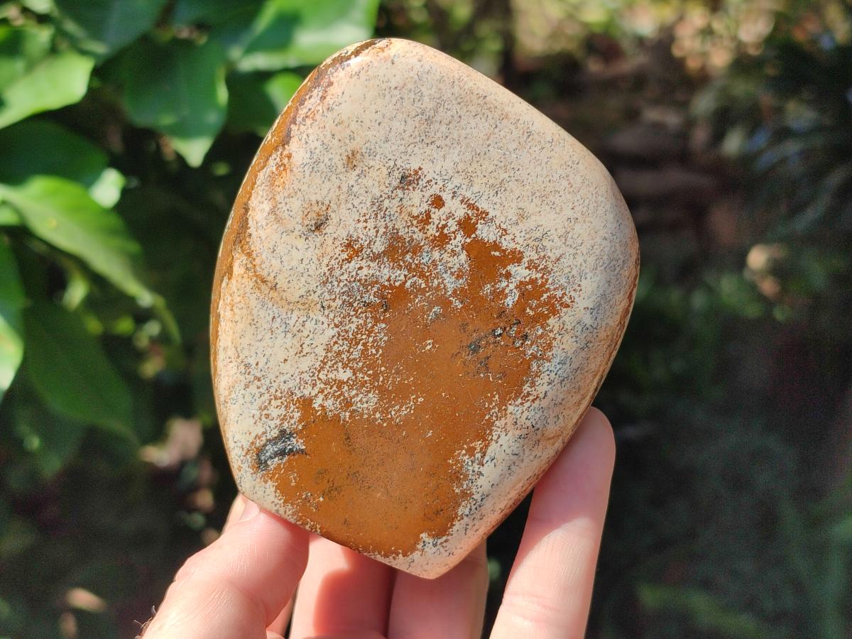 Polished Picture Stone Jasper Standing Free Forms x 4 From Ais-Ais, Namibia