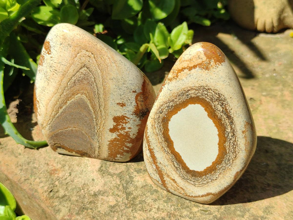 Polished Picture Stone Jasper Standing Free Forms x 4 From Ais-Ais, Namibia