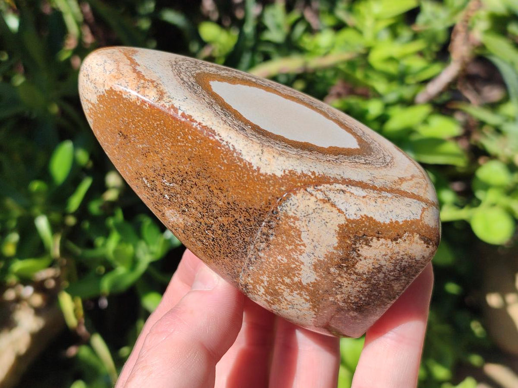 Polished Picture Stone Jasper Standing Free Forms x 4 From Ais-Ais, Namibia