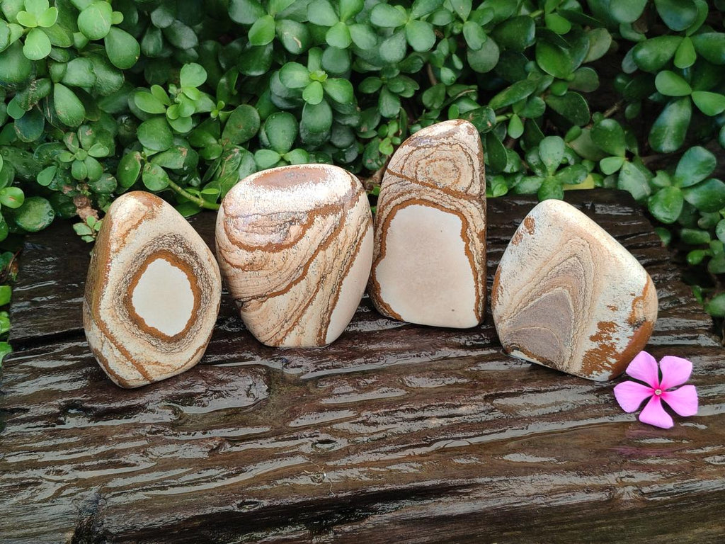 Polished Picture Stone Jasper Standing Free Forms x 4 From Ais-Ais, Namibia