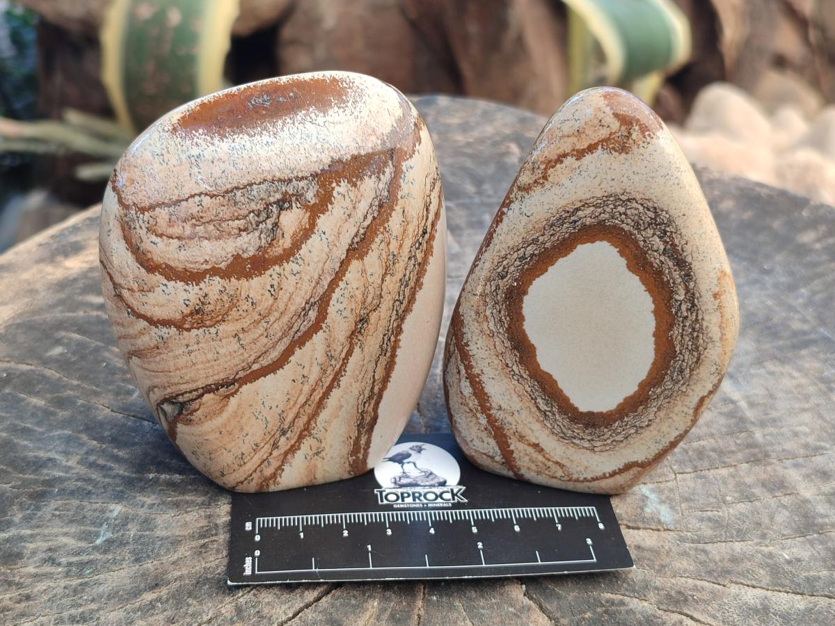 Polished Picture Stone Jasper Standing Free Forms x 4 From Ais-Ais, Namibia