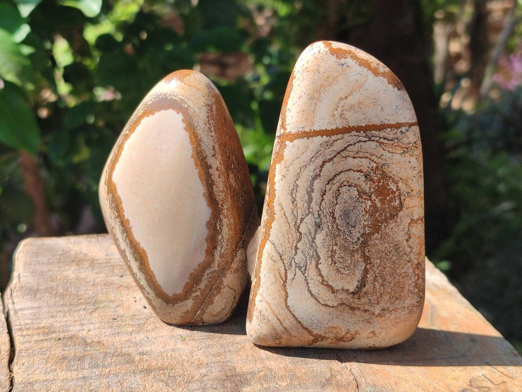 Polished Picture Stone Jasper Standing Free Forms x 4 From Ais-Ais, Namibia