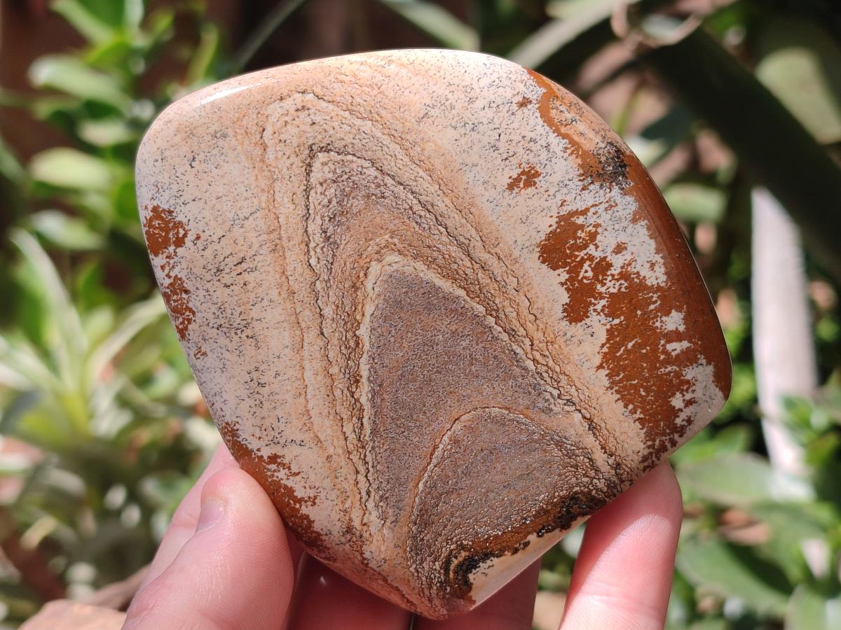 Polished Picture Stone Jasper Standing Free Forms x 4 From Ais-Ais, Namibia