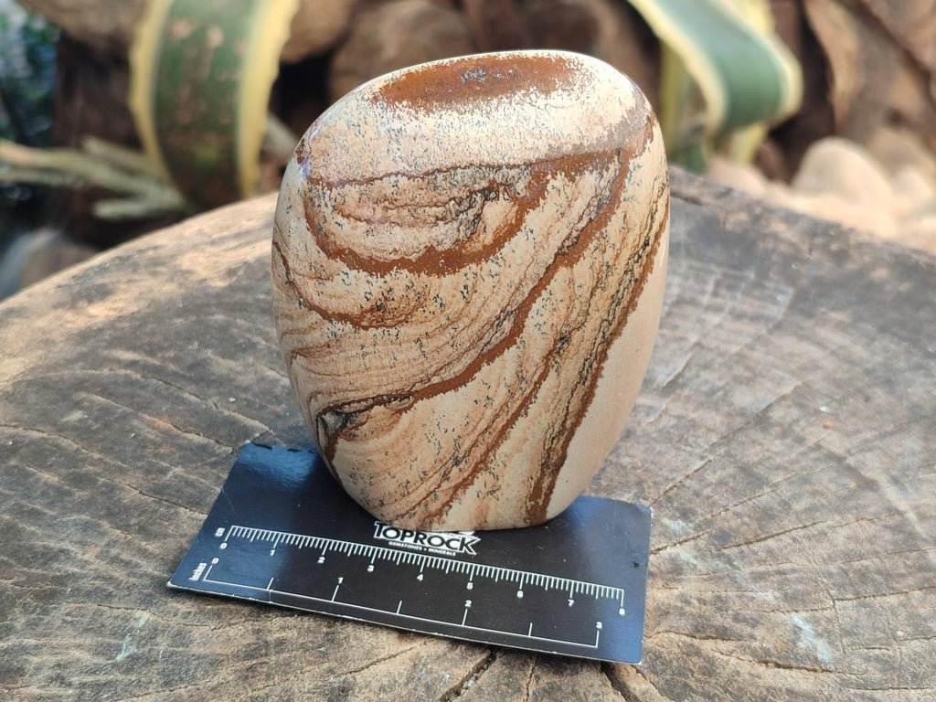 Polished Picture Stone Jasper Standing Free Forms x 4 From Ais-Ais, Namibia