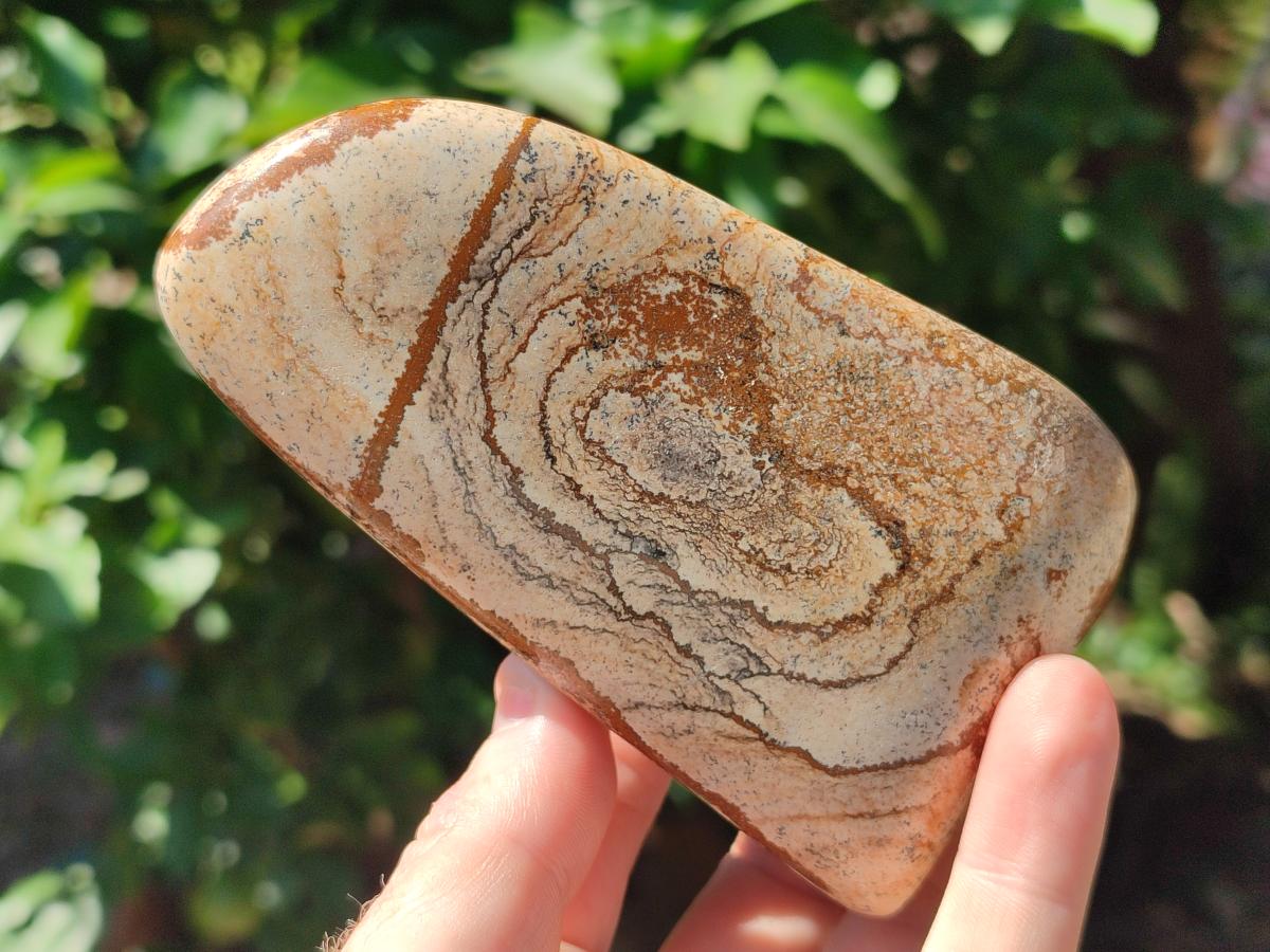 Polished Picture Stone Jasper Standing Free Forms x 4 From Ais-Ais, Namibia