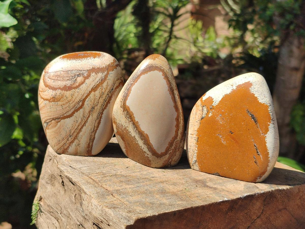 Polished Picture Stone Jasper Standing Free Forms x 4 From Ais-Ais, Namibia