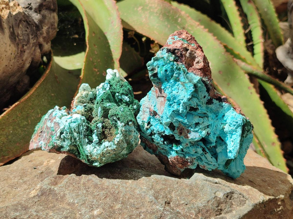 Natural Drusy Coated Chrysocolla with Malachite and Azurite Specimens x 2 From Lupoto Mine, Congo