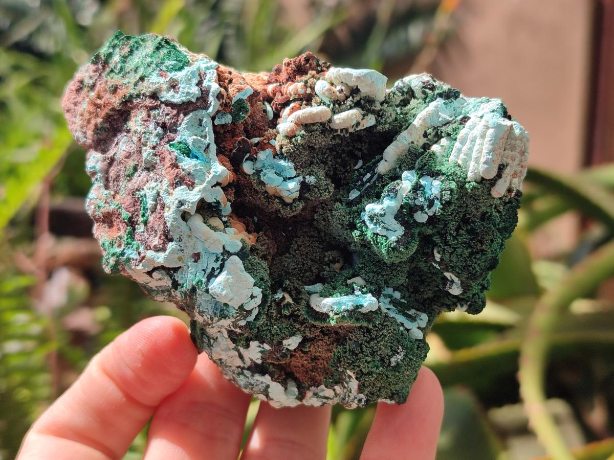 Natural Drusy Coated Chrysocolla with Malachite and Azurite Specimens x 2 From Lupoto Mine, Congo