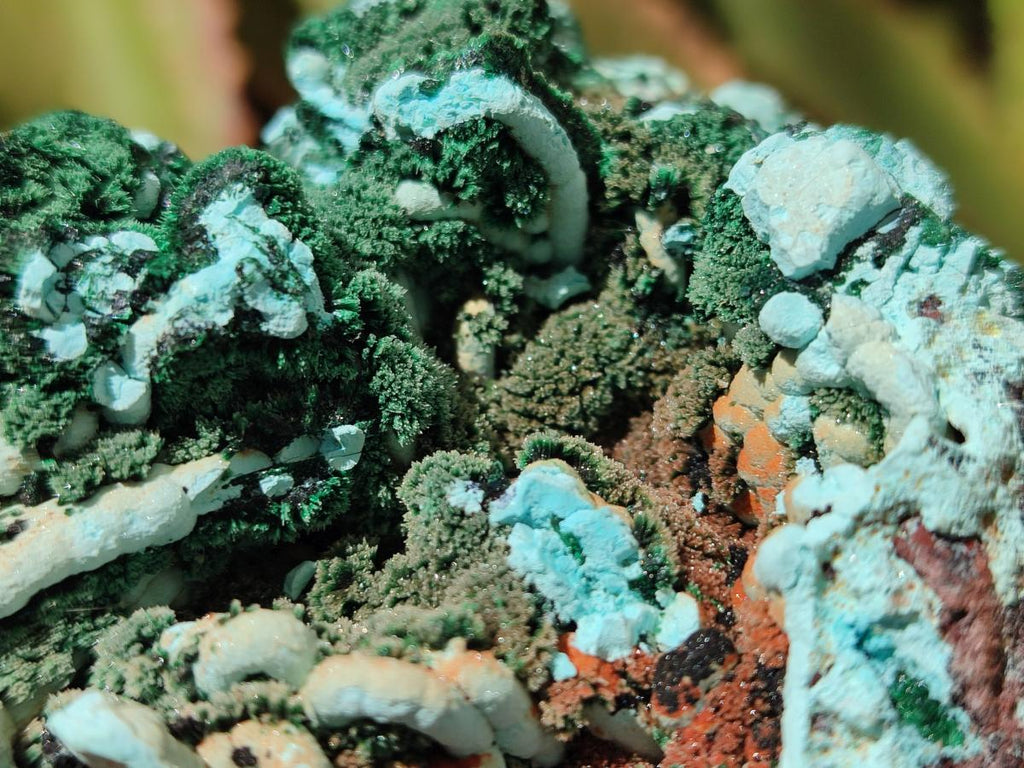 Natural Drusy Coated Chrysocolla with Malachite and Azurite Specimens x 2 From Lupoto Mine, Congo