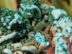Natural Drusy Coated Chrysocolla with Malachite and Azurite Specimens x 2 From Lupoto Mine, Congo