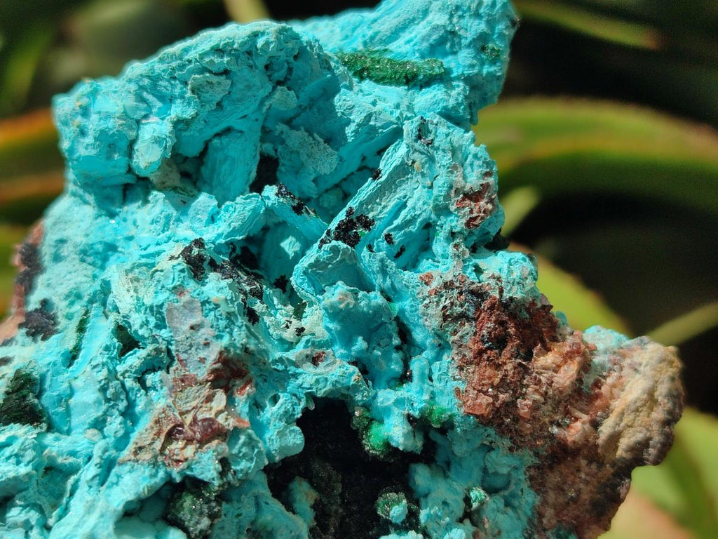 Natural Drusy Coated Chrysocolla with Malachite and Azurite Specimens x 2 From Lupoto Mine, Congo