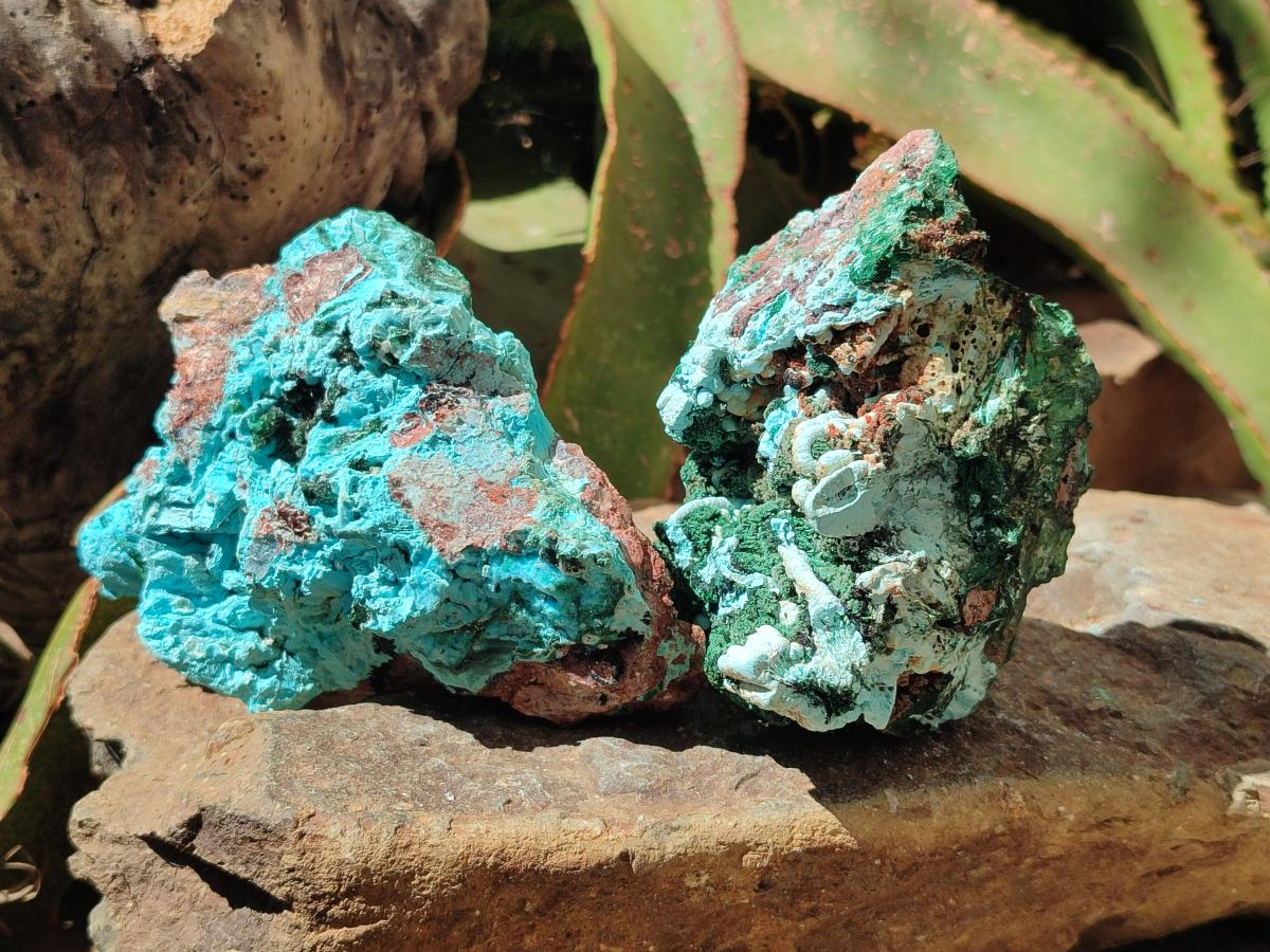 Natural Drusy Coated Chrysocolla with Malachite and Azurite Specimens x 2 From Lupoto Mine, Congo