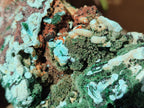 Natural Drusy Coated Chrysocolla with Malachite and Azurite Specimens x 2 From Lupoto Mine, Congo