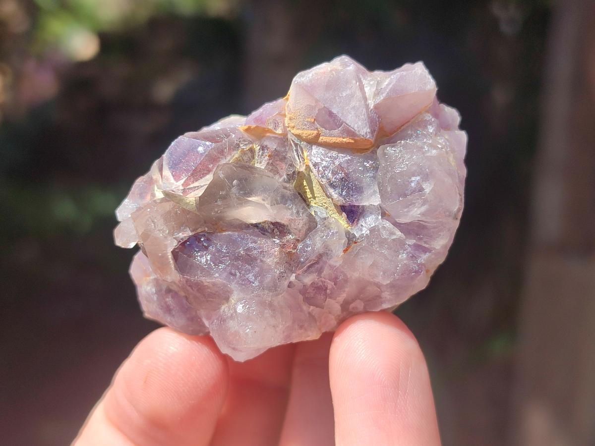 Natural Rare Amethyst Asylum Quartz Clusters x 20 From Luena, Congo