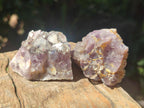 Natural Rare Amethyst Asylum Quartz Clusters x 20 From Luena, Congo