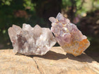 Natural Rare Amethyst Asylum Quartz Clusters x 20 From Luena, Congo