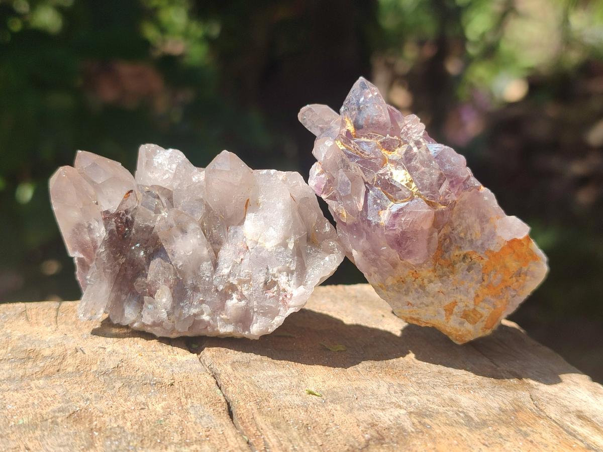 Natural Rare Amethyst Asylum Quartz Clusters x 20 From Luena, Congo