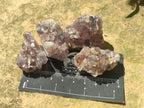 Natural Rare Amethyst Asylum Quartz Clusters x 20 From Luena, Congo