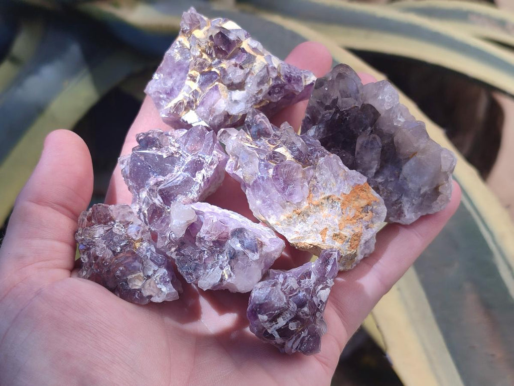 Natural Rare Amethyst Asylum Quartz Clusters x 20 From Luena, Congo