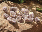 Natural Rare Amethyst Asylum Quartz Clusters x 20 From Luena, Congo