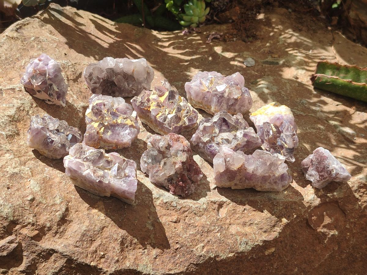 Natural Rare Amethyst Asylum Quartz Clusters x 20 From Luena, Congo